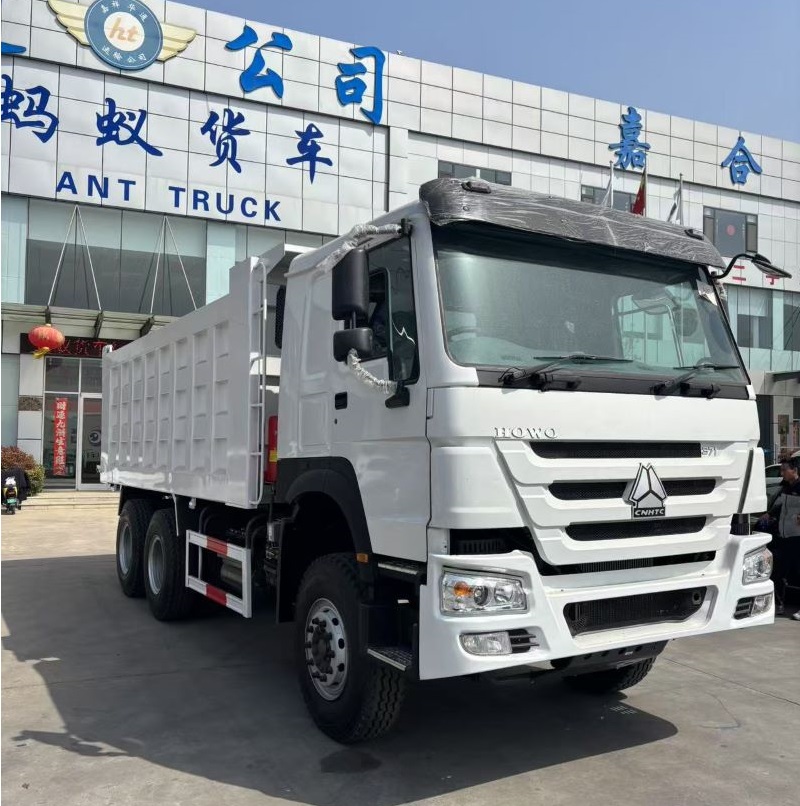 HOWO 6 × 4 White Dump Truck