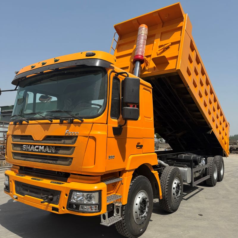 Shaanxi Automobile F3000 8×4 Dump Truck