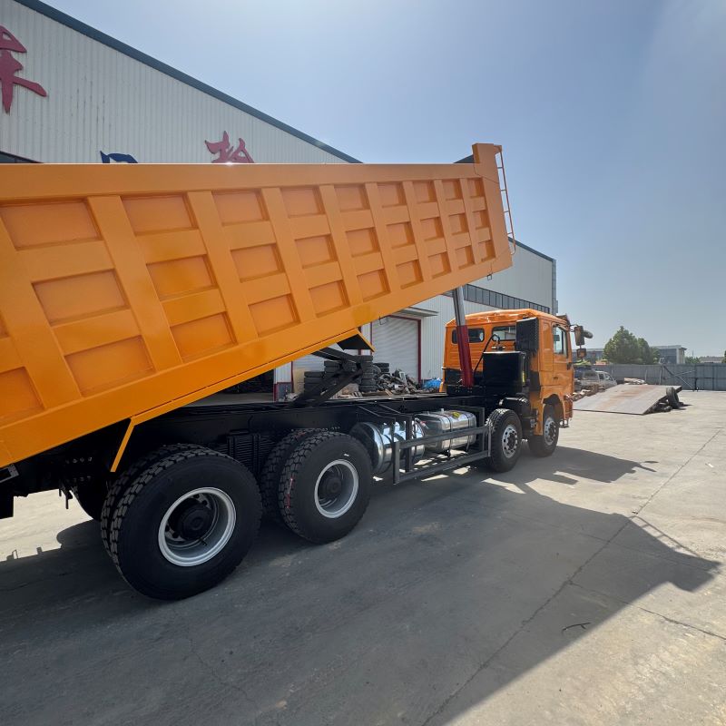 Shaanxi Automobile F3000 8×4 Dump Truck