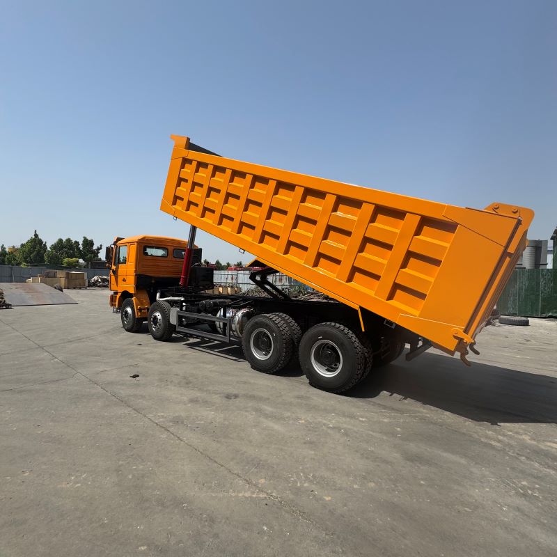 Shaanxi Automobile F3000 8×4 Dump Truck